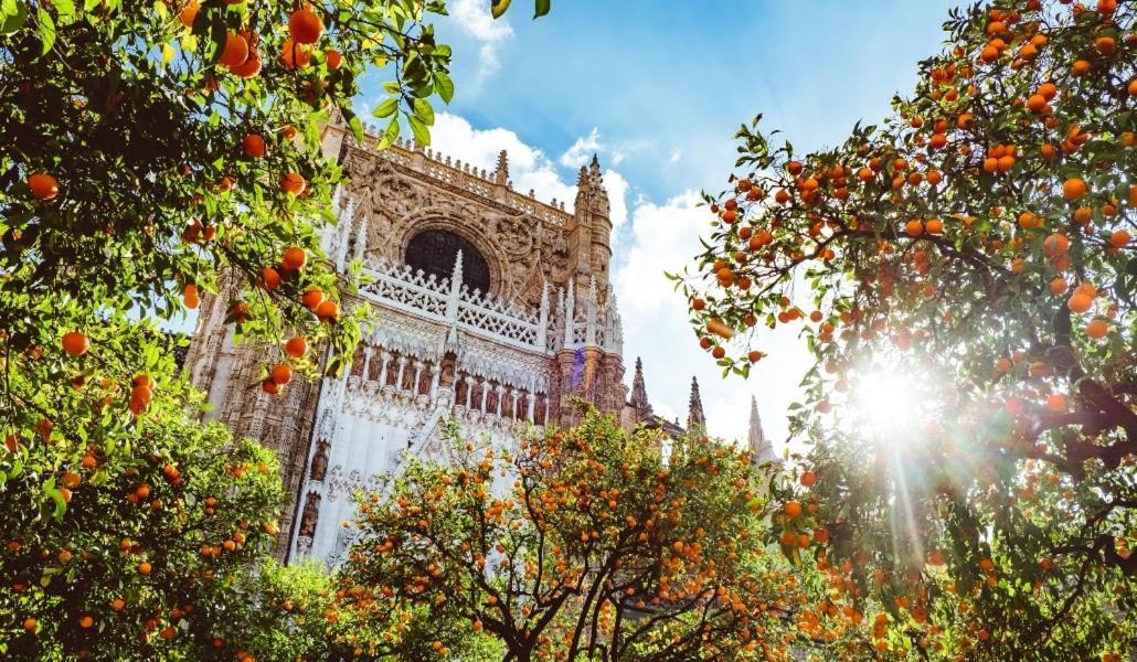 Epicenter Lujoso Apto Parking Gratis Perfecta Ubicacion Seville Exterior photo